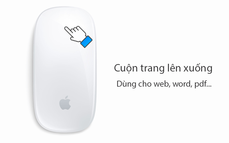 Chuột Bluetooth Apple MLA02 - Cuộn trang web hoặc đoạn văn bản lên xuống HTT-Chuột Bluetooth Apple MLA02