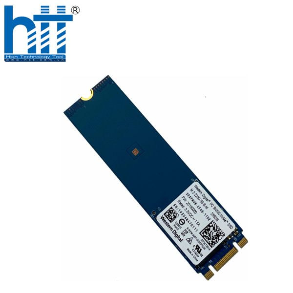 Hợp Thành Thịnh  - SSD WD Blue SN500 256GB NVMe