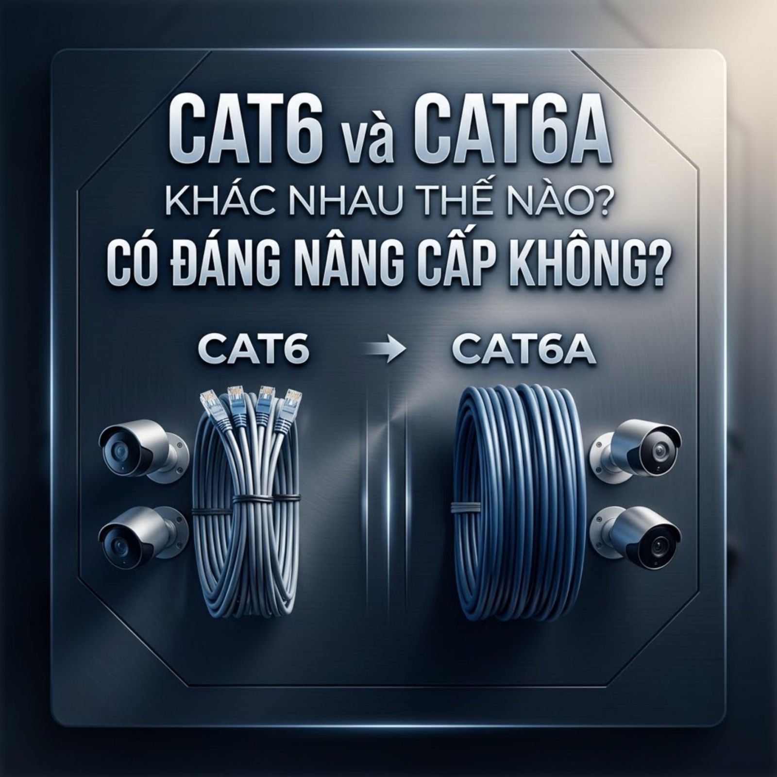 Dây cáp cat6 và cat6a - Hợp Thành Thịnh