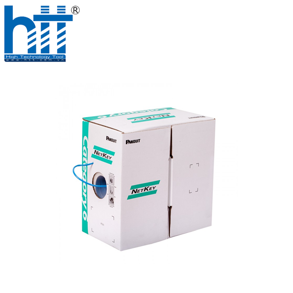 Chống nhiễu mạnh mẽ, kết nối ổn định với cáp Panduit Cat6A. - Hợp Thành Thịnh