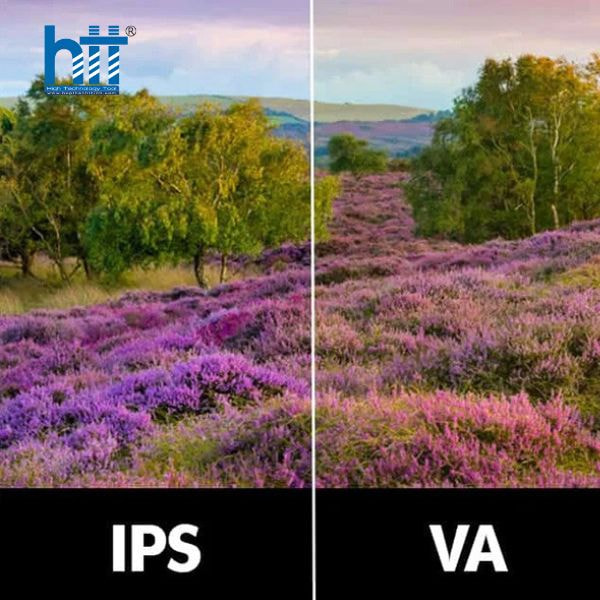 Hình ảnh nền IPS và VA  - Hợp Thành Thịnh