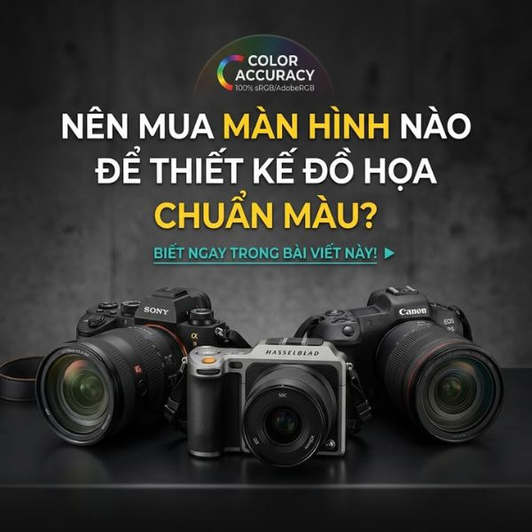 Màn thiết kế chuẩn màu - Hợp Thành Thịnh