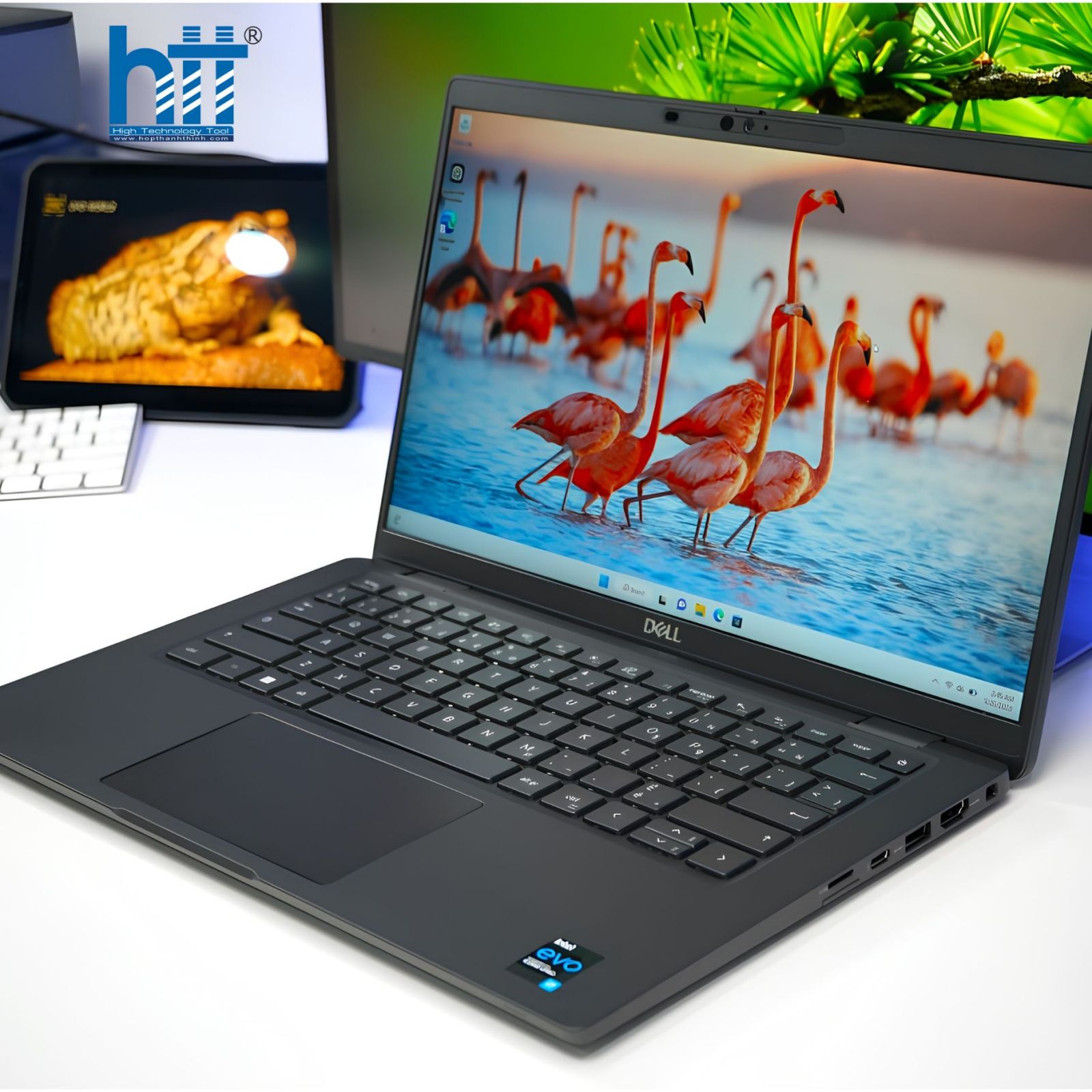 Dòng cap cấp Dell Latitude - Hợp Thành Thịnh