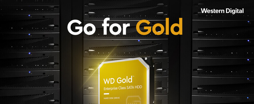 HTT-Ổ cứng máy chủ Western Gold 6Tb 3.5Inch 7200rpm 6Gbs 256Mb SATA (WD6003FRYZ)