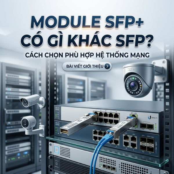 SPF+ khác gì với SPF - Hợp Thành Thịnh
