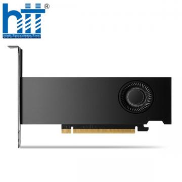 Card màn hình NVIDIA RTX 2000 ADA 16GB GDDR6