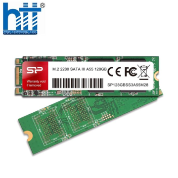Ổ cứng Silicon Power M.2 2280 SATA SSD A55 128GB