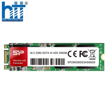 Ổ cứng Silicon Power M.2 2280 SATA SSD A55 256GB