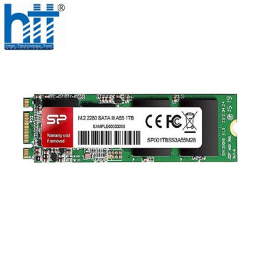 Ổ cứng Silicon Power M.2 2280 SATA SSD A55 1TB