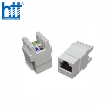 Modular Jack - Ổ cắm Dintek CAT.5e EZI-Keystone Jack Dintek (1305-03048)