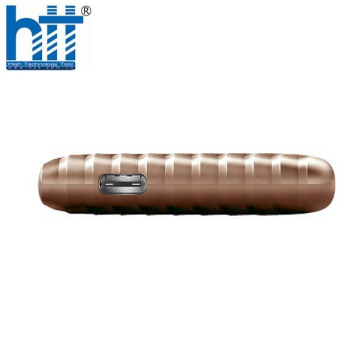 Ổ cứng di động SSD Western My Passport 1Tb - Màu Gold (WDBAGF0010BGD)