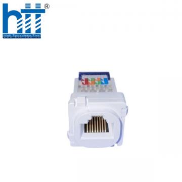 Nhân mạng RJ45, Modul Rack chính hãng PicoLink PN: PL18196-6S, lắp mặt sino