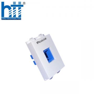 Nhân quang SC (PLQ19101)