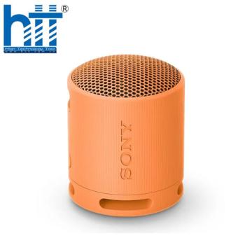Loa Bluetooth Sony SRS-XB100 Extra Bass
