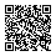 USB SanDisk Ultra Dual Drive Go 512Gb USB Type-C SDDDC3-512G-G46G Màu Xanh Lá