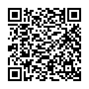 USB SanDisk Ultra Dual Drive Go 128Gb USB Type-C SDDDC3-128G-G46