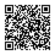 Ugreen 10618 3M màu xám cáp 3.5mm TRS ra 2 cổng 6.35mm TS AV126 20010618