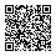 Tai nghe Poly Blackwire 3220 Stereo USB-C Headset +USB-C/A Adapter (8X228AA)