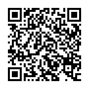 USB SanDisk Ultra Dual Drive 128Gb USB Type-C (SDDDC2-128G-G46)