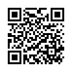 Cáp sạc Radiance X91 cho Micro 3M