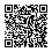 USB SanDisk Ultra Dual Drive 256Gb USB Type-C (SDDDC2-256G-G46)