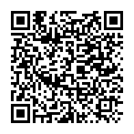 Ổ cứng di động HDD Western Digital My Passport Ultra 4Tb Type-C & USB3.0 - Bạc (WDBFTM0040BSL)