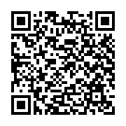 Laptop HP Probook 465 G11 A8WS4PT (AMD Ryzen 7 7735U | 16GB | 512GB | AMD Radeon 680M | 16 inch WUXGA IPS | Win 11 | Bạc)