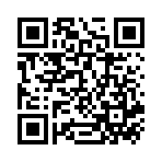 USB LEXAR 32Gb S80 JUMPDRIVE (3.1)