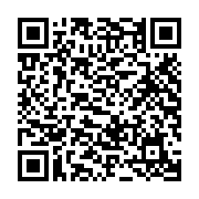 USB SanDisk Ultra Dual Drive Go 64Gb USB Type-C SDDDC3-064G-G46