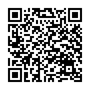 Ổ cứng di động SSD Western My Passport 1Tb - Màu Bạc (WDBAGF0010BSL)