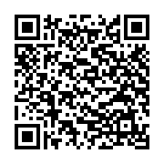 Đầu nối cáp mạng PicoLink LAN RJ45 (PL-101)