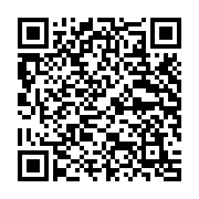 Microsoft Surface Pro 11 (Snapdragon® X Plus (10 Core) Processor / 16GB Memory/ 512 GB SSD/ LCD display  13" PixelSense Touchscreen  / Windows 11 Home)