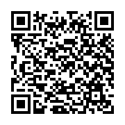 Laptop HP Probook 465 G11 A8WR9PT (AMD Ryzen 3 7335U | 8GB | 256GB | AMD Radeon | 16 inch WUXGA | Win 11 | Bạc)