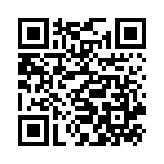 Cáp sạc X88 Type-C sang Type-C