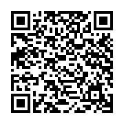 Màn hình đồ họa HP Z Display Z24Q G3 4Q8N4AA