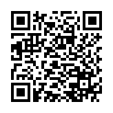 USB Netac UA31 USB3.2 Flash Drive 256GB