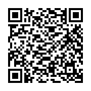 USB SanDisk Ultra Dual Drive Go 256Gb USB Type-C SDDDC3-256G-G46