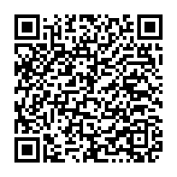 Hạt audio, nhân audio  chuẩn wide 2 lỗ lắp mặt Panasonic, Picolink (PLAD02)