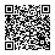 Ổ cứng di động SSD Transcend ESD310C 256Gb USB-A & USB-C Màu Bạc