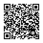 Ổ cứng di động SSD Western Elements SE 480Gb (WDBAYN4800ABK-WESN)